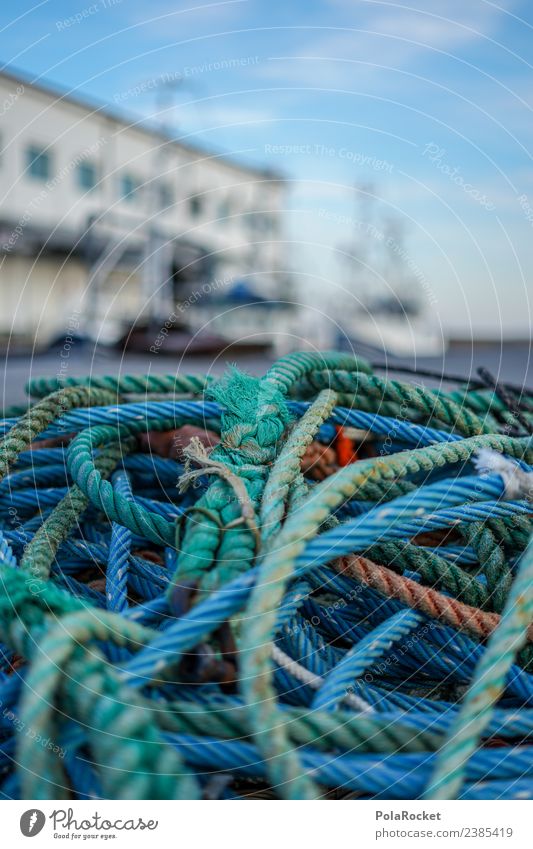 #S# Harbour feeling Navigation Work and employment Linen Knot Many Fishing (Angle) Idyll Blue Difference Baltic Sea Baltic island Water Ocean Colour photo