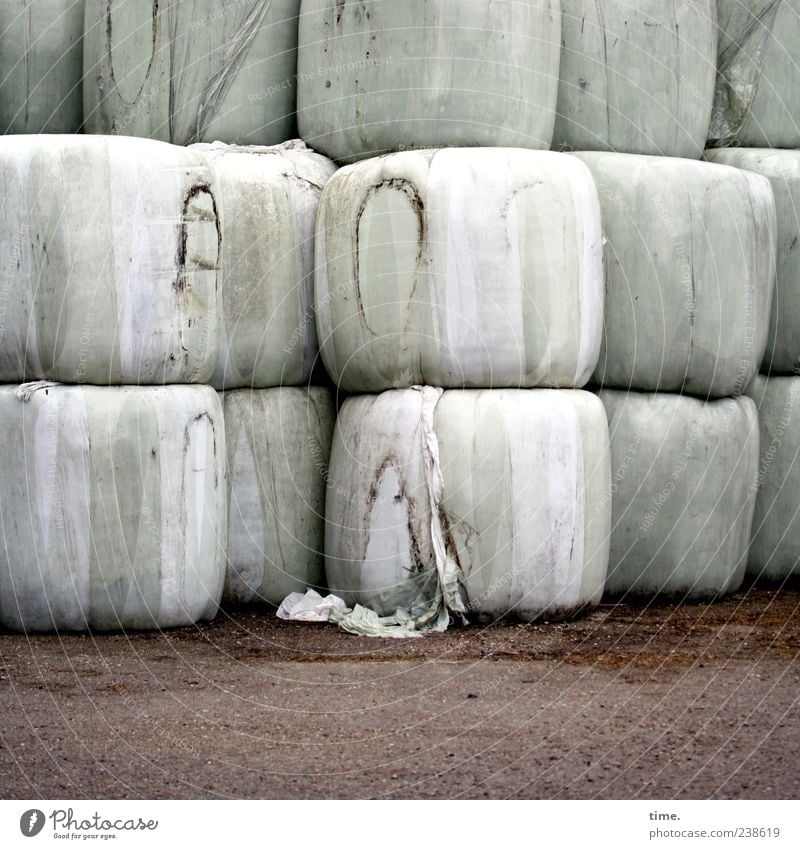 Even more old sacks Plastic packaging Bright Round White silage Feed Packaged Packaging material Colour photo Exterior shot Pattern Structures and shapes