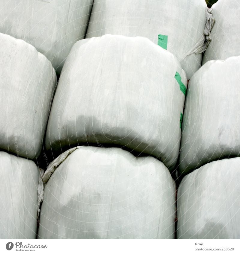 Old sacks Plastic packaging Round White silage Stack Packaged Colour photo Subdued colour Exterior shot Pattern Structures and shapes Deserted Copy Space top