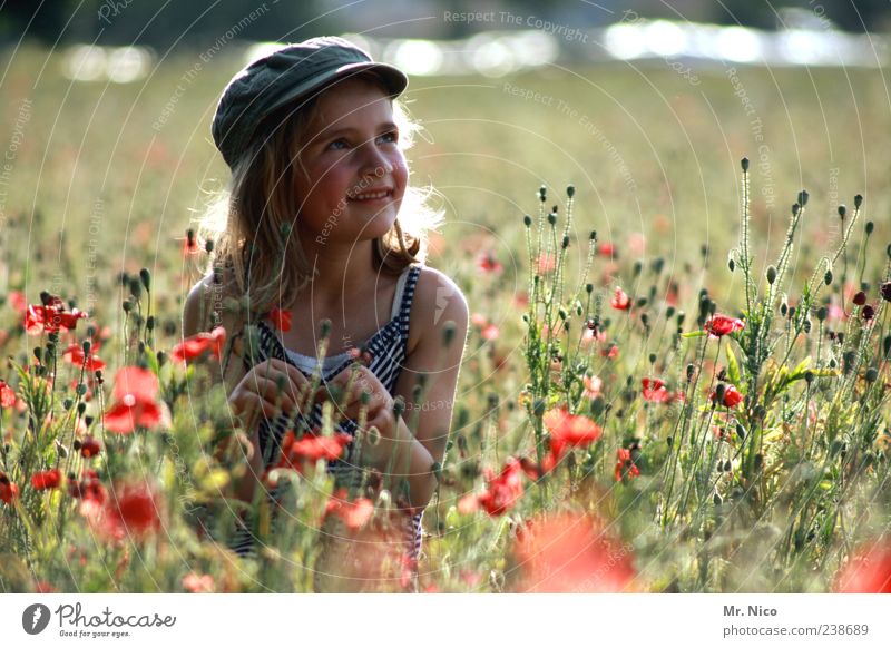 right in the middle Girl Infancy Environment Nature Landscape Summer Plant Flower Grass Park Meadow Field Dress Cap Blonde Long-haired Curl Crouch Happy