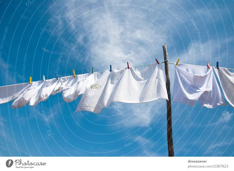 White laundry drying Summer Sun Rope Sky Wind Clothing T-shirt Shirt Pants Underwear Line Hang Fresh Bright Clean Blue Red Energy Colour Clothesline wash
