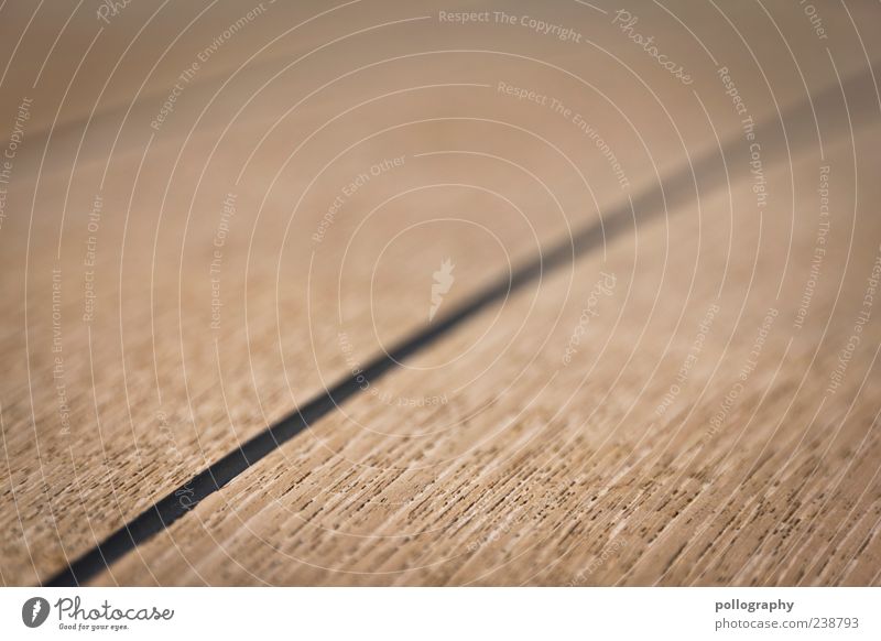 outline Wood Line Brown Black Colour photo Exterior shot Close-up Detail Structures and shapes Deserted Day Blur Deep depth of field Wooden floor Seam