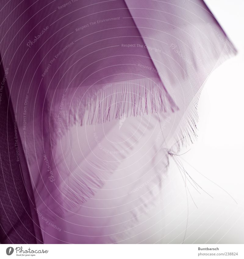 hanging folds Cloth Rag Wrinkles Folds Fringe Textiles Accessory Scarf Headscarf Hang Violet Colour photo Exterior shot Close-up Detail Macro (Extreme close-up)