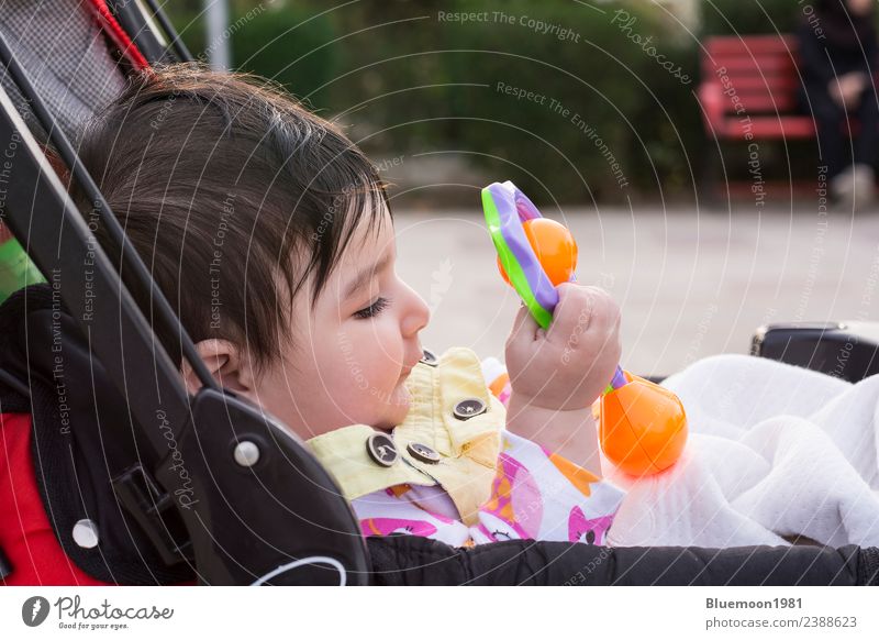 Beautiful baby playing with her toys at carriage in a walk at park Life Relaxation Child Human being Baby Infancy Nature Spring Flower Park Transport