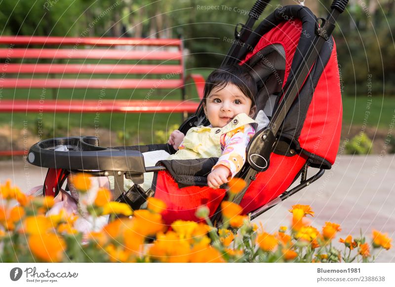 Little baby girl in colorful cloth sitting in modern carriage Lifestyle Beautiful Relaxation Leisure and hobbies Child Industry Human being Baby Infancy 1