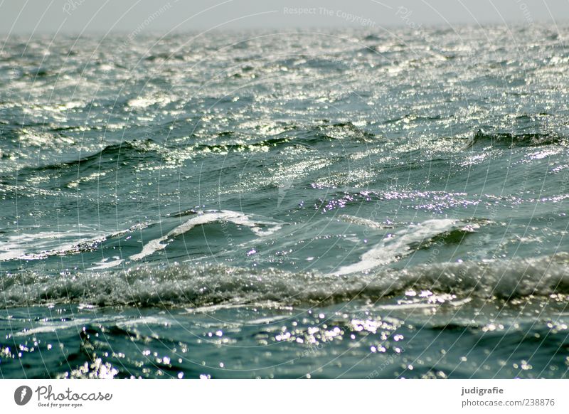 Baltic Environment Nature Water Waves Baltic Sea Ocean Movement Infinity Wet Natural Wild Moody Colour photo Exterior shot Deserted Day Light Reflection