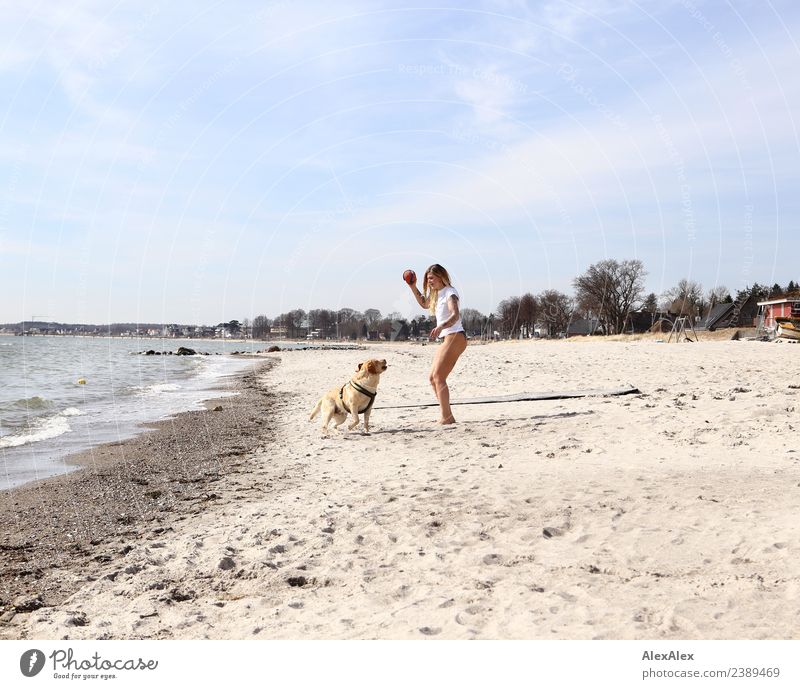Woman plays ball throwing with blond Labrador at Baltic Sea beach Lifestyle Joy Beautiful Wellness Playing Ball sports Dog toy Summer vacation Beach Ocean