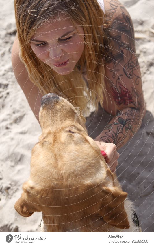 Woman cuddles blond Labrador Lifestyle Joy Beautiful Harmonious Cuddling Summer Beach Young woman Youth (Young adults) Face 18 - 30 years Adults Sand