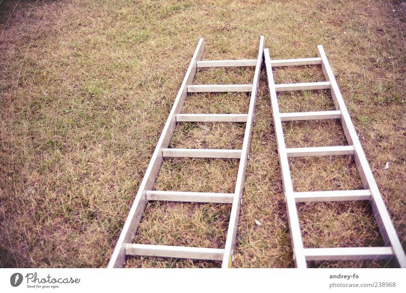 Two conductors Tool Ladder Beginning Aluminium 2 Lie Ground Grass Earth Brown Redecorate Build Colour photo Subdued colour Exterior shot Deserted