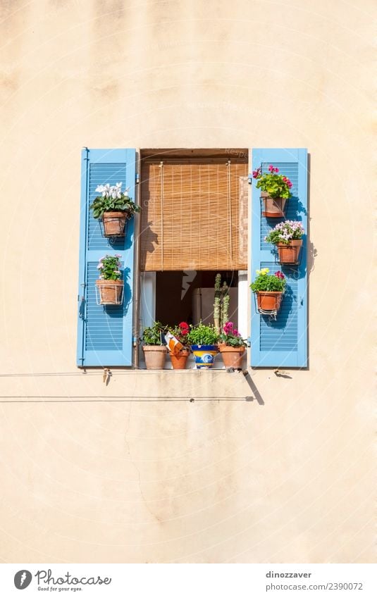 Window with blue shutters and flowers Style Beautiful Vacation & Travel Summer House (Residential Structure) Decoration Culture Flower Building Architecture