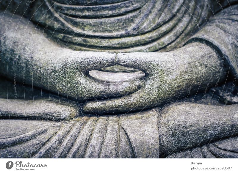 Folded hands Buddha statue Sculpture Stone Gray Serene Calm Belief Lotus Position Prayer Meditation Buddhism Subdued colour Exterior shot Deserted Day