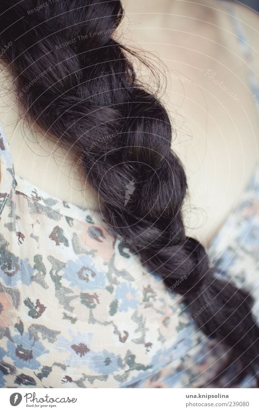 plait.pattern Feminine Hair and hairstyles 1 Human being Black-haired Brunette Long-haired Braids Plaited Pattern Colour photo Subdued colour Close-up Detail
