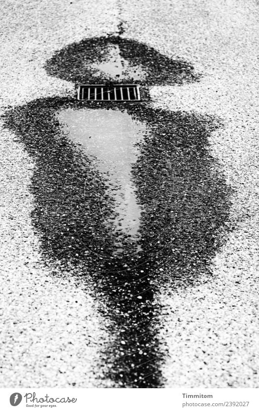 From a Munch's dream? Water Drainage Grating Concrete Metal Gray Black White Emotions Memory Dream Black & white photo Exterior shot Deserted Day