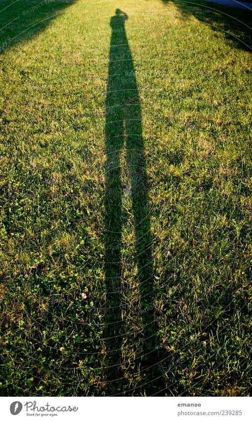 shadow long leg Leisure and hobbies Vacation & Travel Human being Legs 1 Nature Landscape Weather Plant Grass Garden Park Meadow Stand Large Tall Green