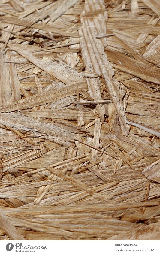 background Wood Brown Yellow compressed wood Shavings chipboard Wood shavings Structures and shapes splinter of wood Colour photo Exterior shot Deserted