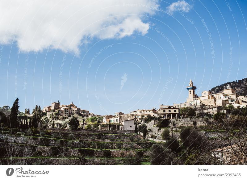 Valldemossa Harmonious Well-being Relaxation Calm Leisure and hobbies Vacation & Travel Tourism Trip Freedom Sightseeing Summer Summer vacation Landscape Sky