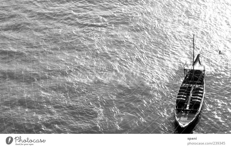 fishing Sunlight Summer River Esthetic Glittering Calm Style Moody Watercraft Cargo-ship Swell Reflection Black & white photo Exterior shot