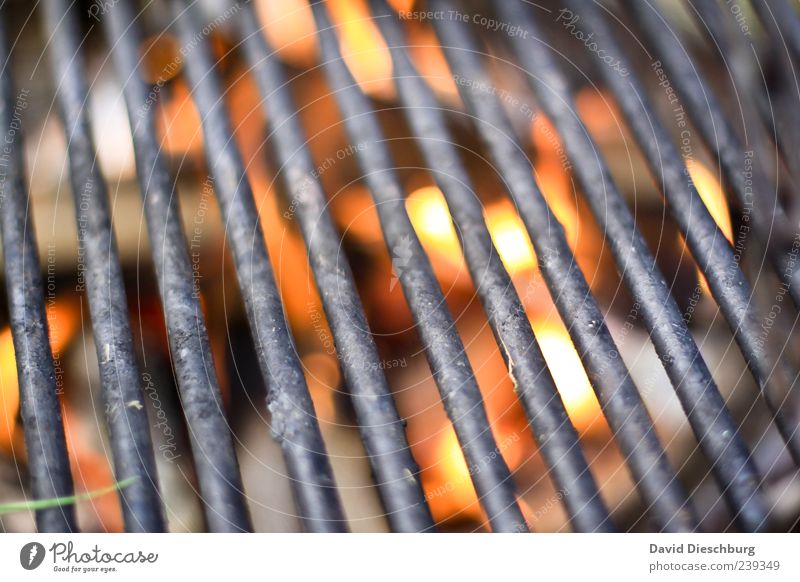 angrillas Barbecue (apparatus) Grill Charcoal (cooking) Embers Hot BBQ season Grating Line Metal Bright Illuminate Fire Empty Colour photo Detail