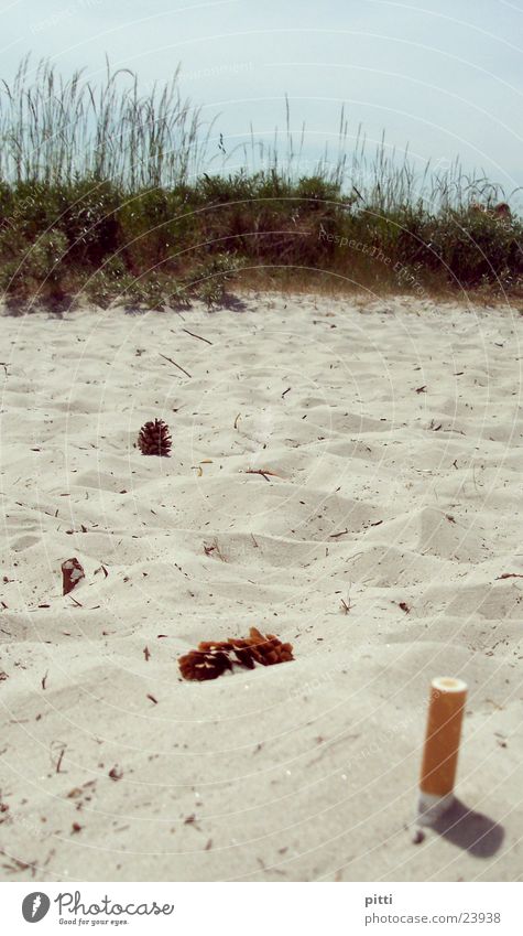 beach sand 1 Beach Bushes Common Reed Cigarette Green Sand Cigarette Butt