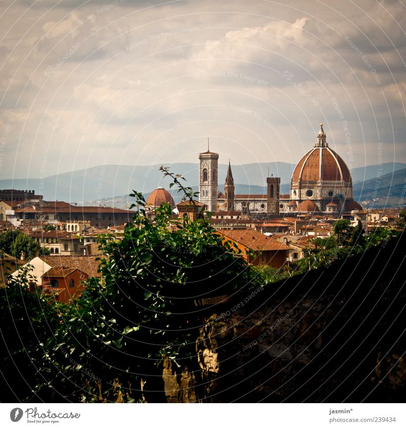 Firenze #2 Environment Sky Clouds Climate Hill Town Downtown Outskirts Skyline Church Dome Tourist Attraction Landmark Old Elegant Historic Colour photo