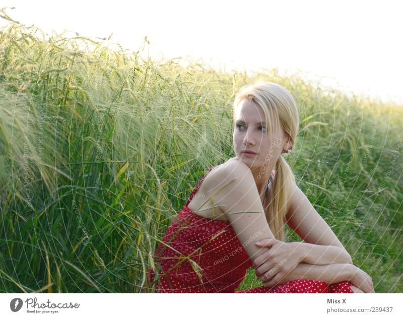 In the sun Beautiful Relaxation Calm Human being Feminine Young woman Youth (Young adults) 1 18 - 30 years Adults Summer Plant Grass Field Sit Blonde