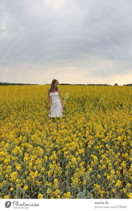 rapeseed Summer Summer vacation Feminine Woman Adults 1 Human being Nature Landscape Plant Earth Air Sky Clouds Weather Flower Agricultural crop Field Hill