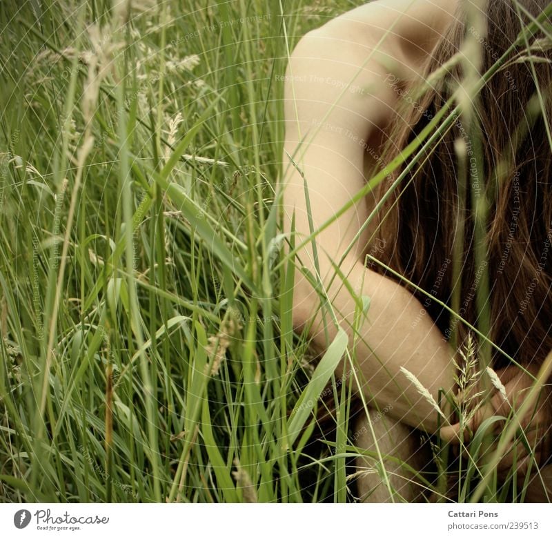 hiding place Masculine Young man Youth (Young adults) Man Adults Body Grass Bushes Meadow Brunette Long-haired To hold on Hang Crouch Make Uniqueness Naked