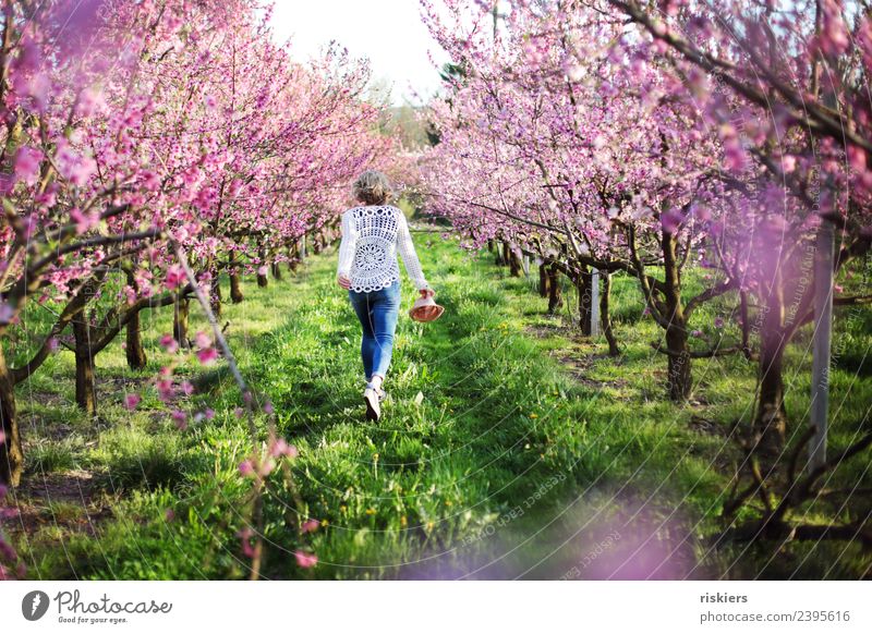 spring awakening Feminine Young woman Youth (Young adults) Woman Adults Life 1 Human being 18 - 30 years 30 - 45 years Environment Nature Landscape Plant Spring