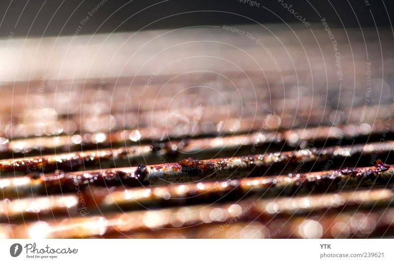 Barbecue season over? Firm Glittering Bright Brown Black Barbecue (apparatus) Grill Fat Remainder Blur Depth of field Dirty Unhealthy Heavy Oily Colour photo