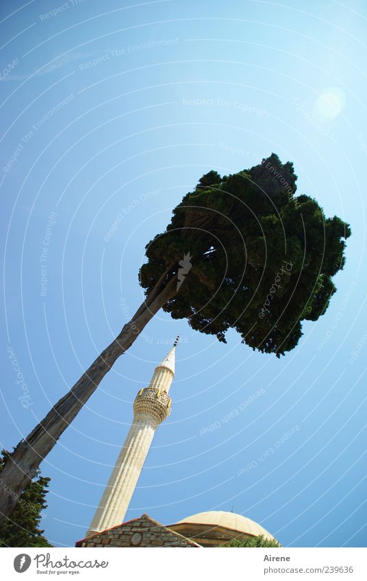 Skywards Cloudless sky Sunlight Tree Village Tower Minaret Mosque Tall Thin Blue Green White Beautiful Belief Pride Esthetic Hope Religion and faith