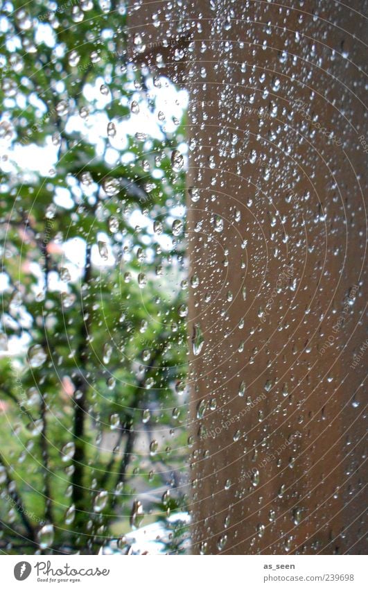 rainy day Water Drops of water Sky Summer Weather Bad weather Rain Tree Wall (barrier) Wall (building) Window Stone Glass Observe Dream Wait Fluid Wet Brown