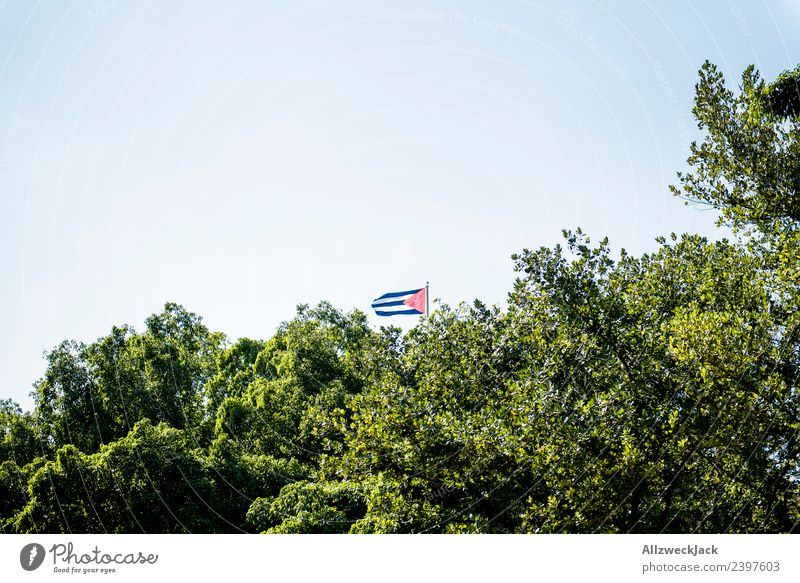 Small Cuba flag behind trees Havana Flag Tree Treetop Green Leaf Wind Blow Pennant Patriotism Vacation & Travel Travel photography Nature Socialism Blue sky