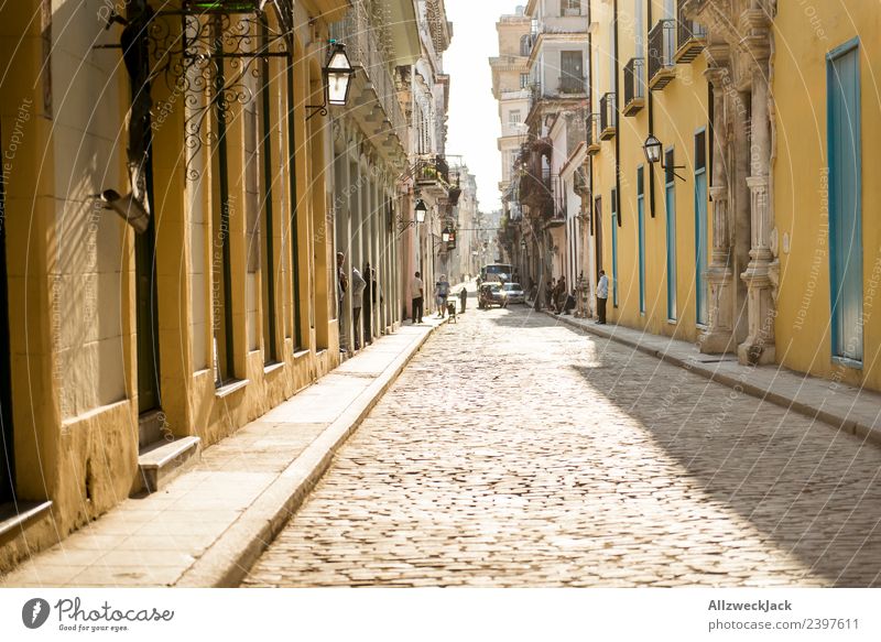 Street in Havana Cuba Cobblestones Deserted Alley Sun zenith Midday Summer Warmth Calm Travel photography Vacation & Travel Far-off places Wanderlust Discover
