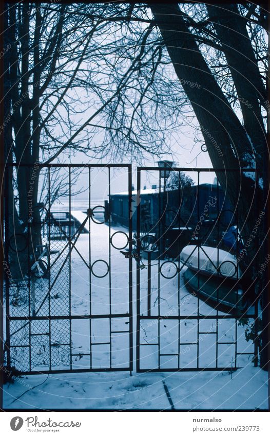 Gate to the Cold Home Lifestyle Environment Nature Landscape Winter Fog Ice Frost Snow Tree House (Residential Structure) Sky Iron gate Sign Old Freeze Dark