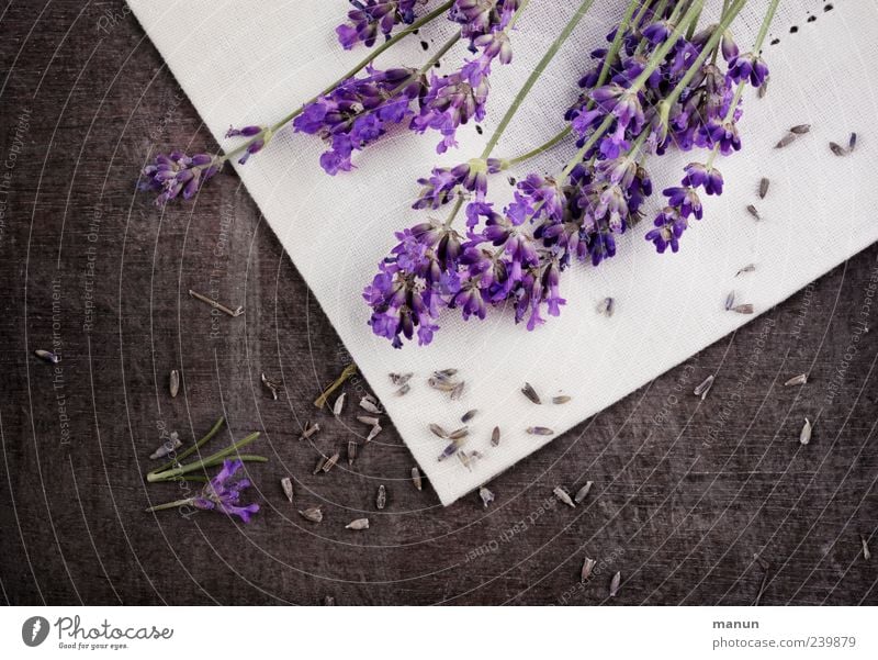 Lavender rustic Herbs and spices Medicinal plant Decoration Table Nature Plant Flower Blossom Agricultural crop Wood Fragrance Lie Authentic Simple Fresh