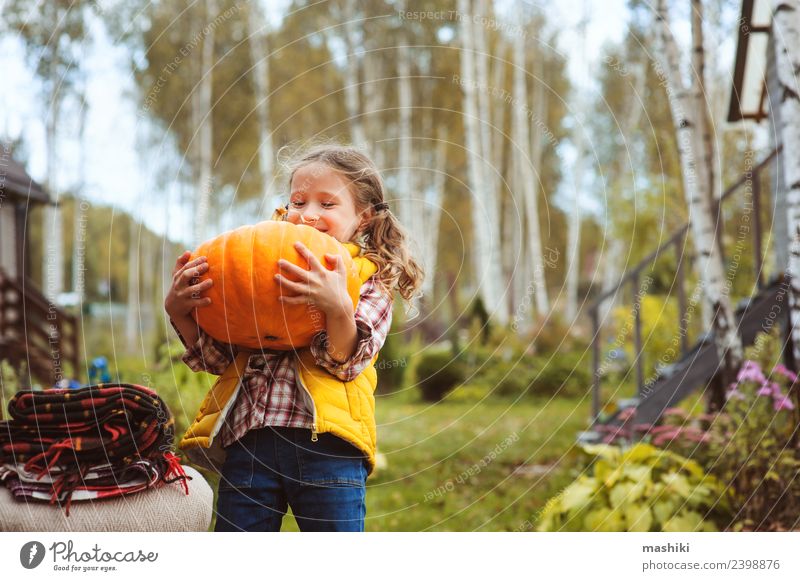 child girl picking pumpkins on the farm Vegetable Playing House (Residential Structure) Garden Chair Hallowe'en Child Autumn Warmth Fresh Funny fall Harvest