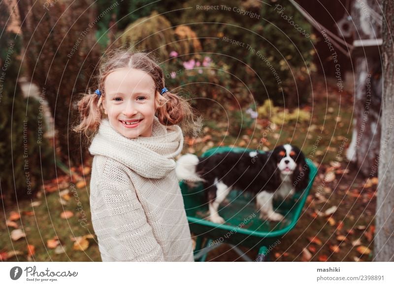 happy child girl riding her dog in wheelbarrow Lifestyle Joy Playing Garden Child Friendship Infancy Autumn Weather Leaf Sweater Pet Dog Happiness fall
