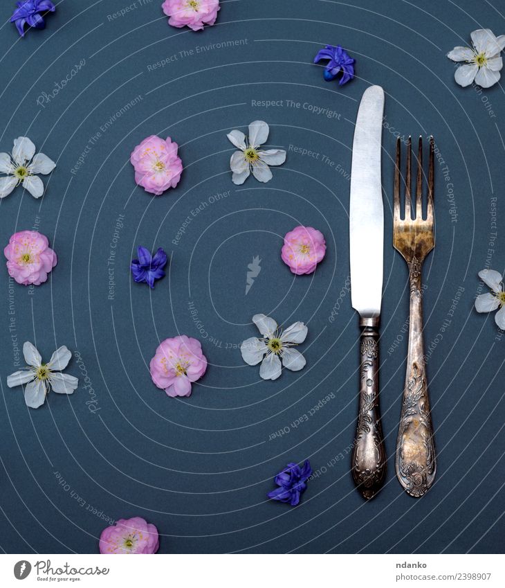 iron vintage cutlery fork and knife Eating Cutlery Knives Fork Table Flower Above Blue Pink Black White background food Conceptual design healthy silverware