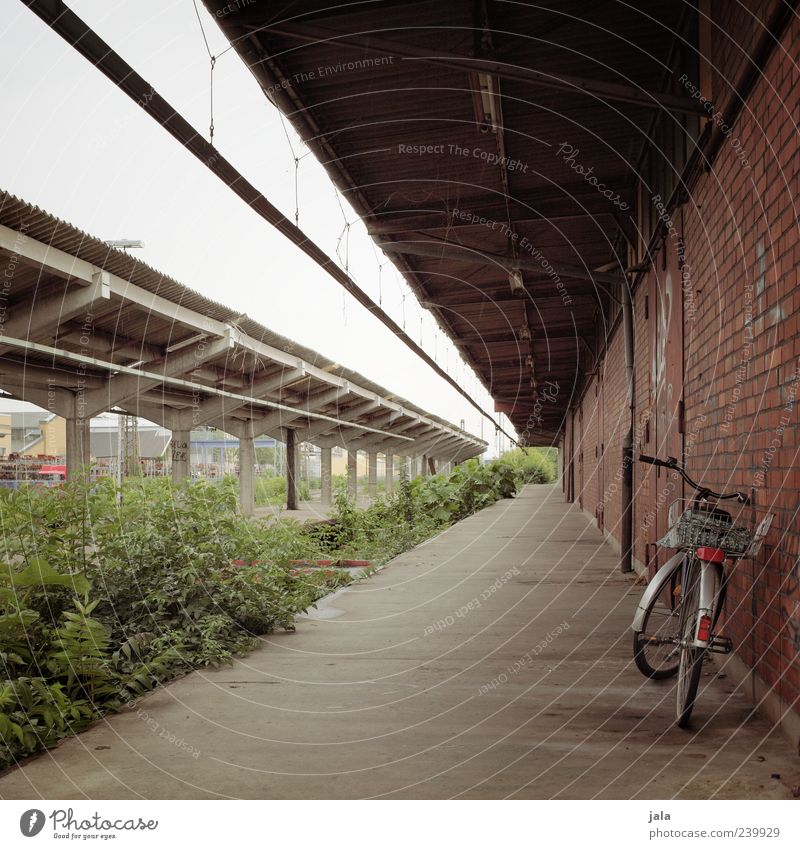 platform Sky Plant Bushes Foliage plant Wild plant Train station Manmade structures Building Architecture Wall (barrier) Wall (building) Facade Bicycle Platform