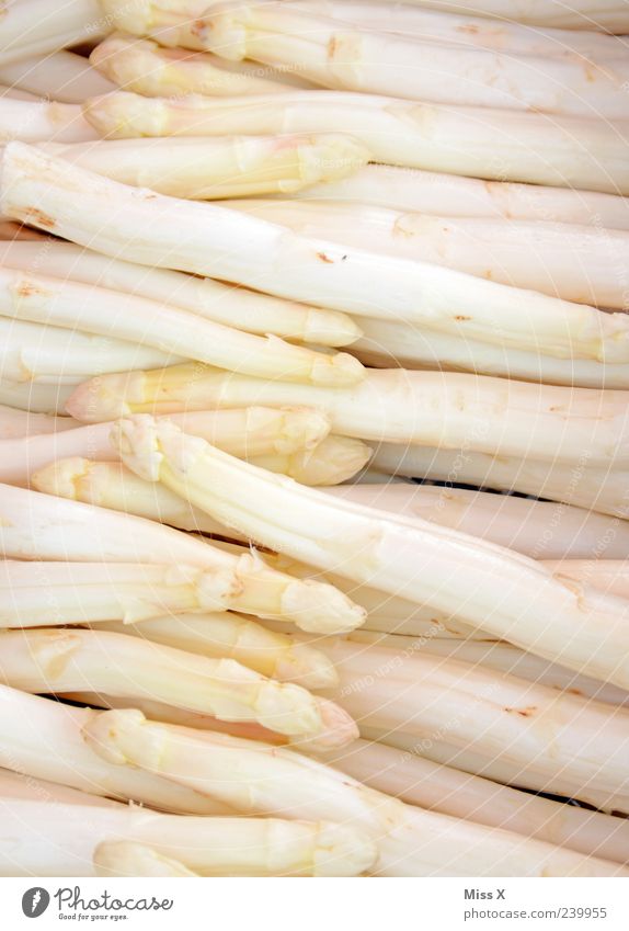 asparagus Food Vegetable Nutrition Organic produce Vegetarian diet Fresh Healthy Delicious White Appetite Asparagus Colour photo Close-up Pattern Deserted Many