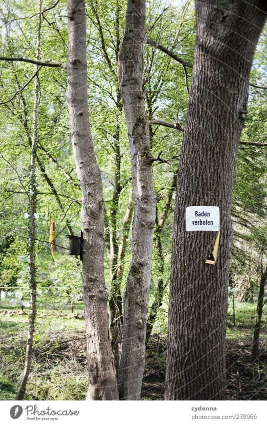 bathing prohibited Environment Nature Tree Characters Signs and labeling Signage Warning sign Bans Tree trunk Swimming & Bathing Rule Colour photo Exterior shot