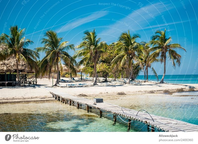 paradisiacal island with palm trees and jetty Day Deserted Island Paradise Footbridge Jetty Palm tree Beautiful Gorgeous Water Ocean Maritime Blue sky