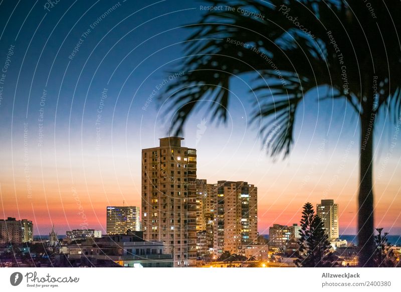 Skyline of Havana at night with palm tree Panorama (View) Deserted Summer Sun Vacation & Travel Island Far-off places Ocean Cloudless sky Town High-rise