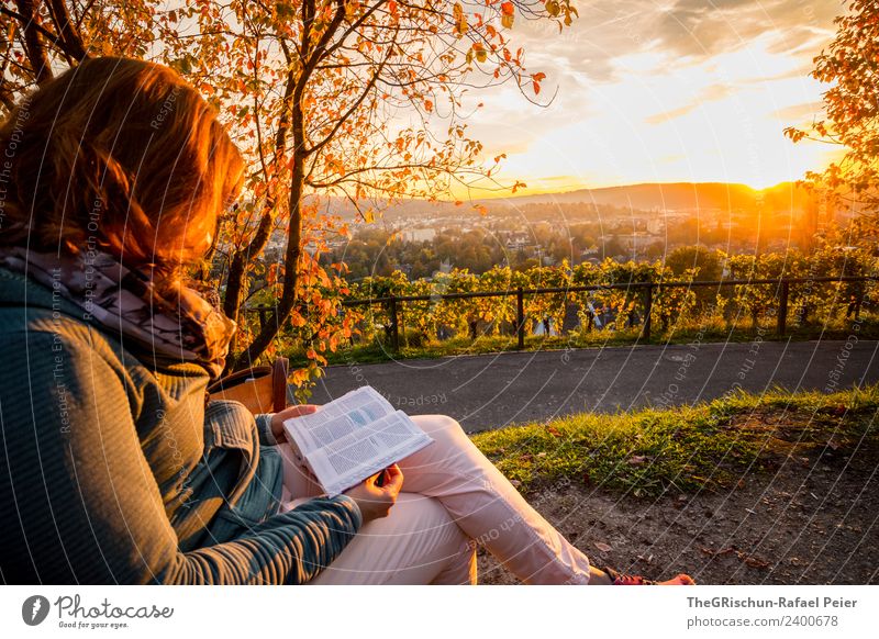 read Environment Nature Brown Multicoloured Yellow Gold Green Winterthur Vine Sunset Reading Comfortable Idyll Relaxation Colour photo Exterior shot