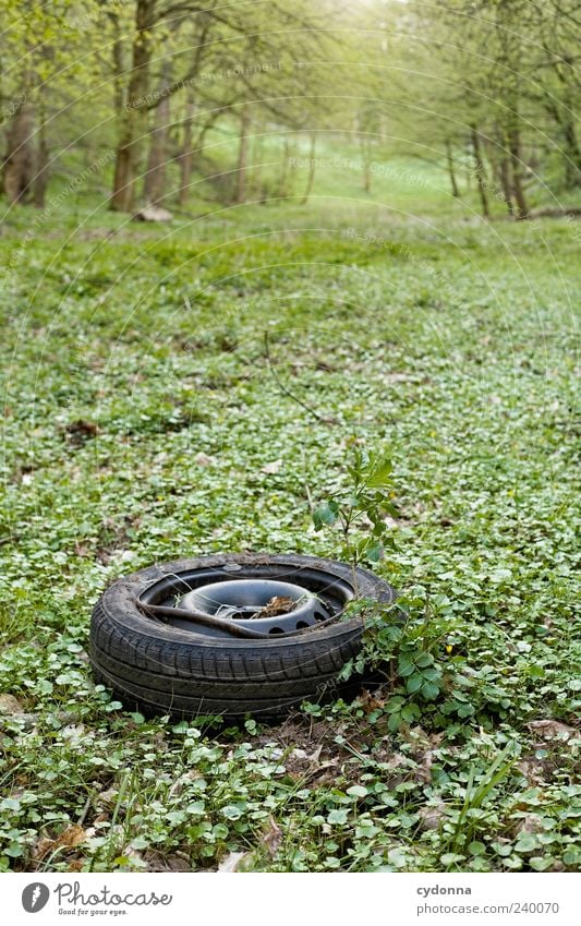 forgotten Environment Nature Landscape Grass Meadow Forest Esthetic Transience Time Destruction Car tire Trash Waste management Dirty Forget Broken Polluter