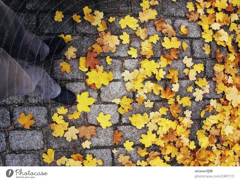 Just Yellow. Esthetic Contentment Autumn Autumn leaves Autumnal Autumnal colours Early fall Autumnal weather Maple tree Colour photo Subdued colour