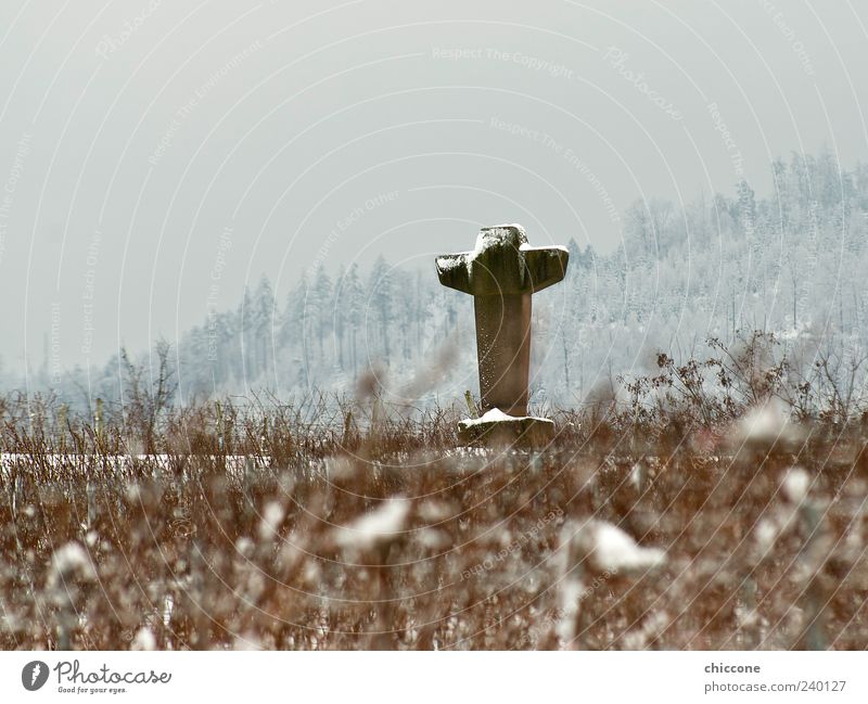 Stone cross Sculpture Culture Religion and faith Landscape Ice Frost Snow Bushes Field Christian cross Sand Sign Crucifix Old Esthetic Emotions Power Might