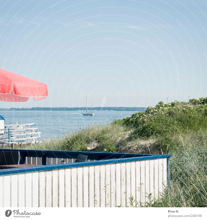 like ice in the sunshine Lifestyle Beach bar Landscape Water Sky Horizon Summer Baltic Sea Terrace Sailboat Bright Relaxation Leisure and hobbies