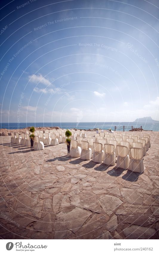 dream wedding Elegant Style Summer Beautiful weather Coast Ocean White Horizon Colour photo Exterior shot Copy Space top Day Sunlight Chair Row of chairs