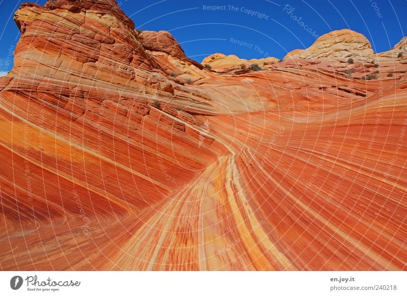 sharp turn Vacation & Travel Tourism Nature Landscape Rock Desert Stone Exceptional Blue Brown Red Wanderlust Bizarre Uniqueness Miracle of Nature Coyote Buttes